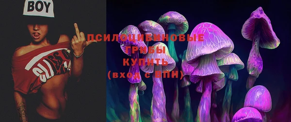 PSILOCYBIN Баксан