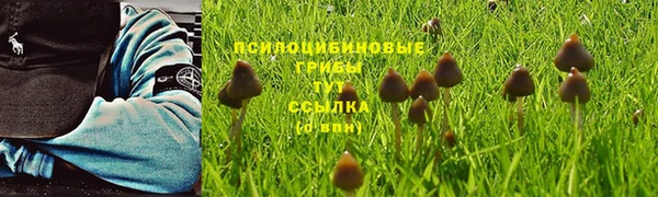 2c-b Балабаново