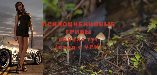 2c-b Балабаново