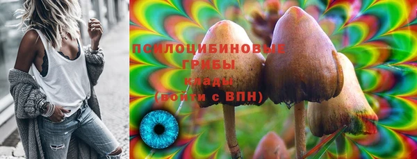 PSILOCYBIN Баксан