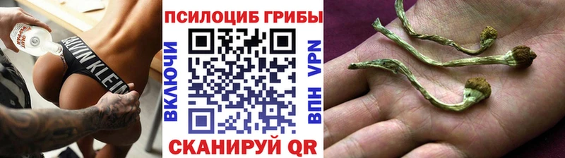 Галлюциногенные грибы ЛСД  Купить закладки  Узловая 